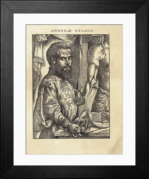 Framed Print : Vesalius, Andreas (1514-1564). De Humanis Corporis Fabrica'. First edition of the work executed in Basel in 1543. Portrait of Vesalio, dated in 1542. Etching. FRANCE. Paris