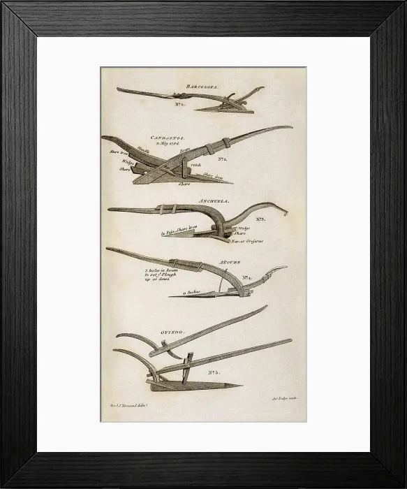 Framed Print : Spanish ploughs, picture from the Joseph Townsend's work 'A journey throug Spain in the years 1786 and 1787'. Engraving. SPAIN. Madrid. National Library