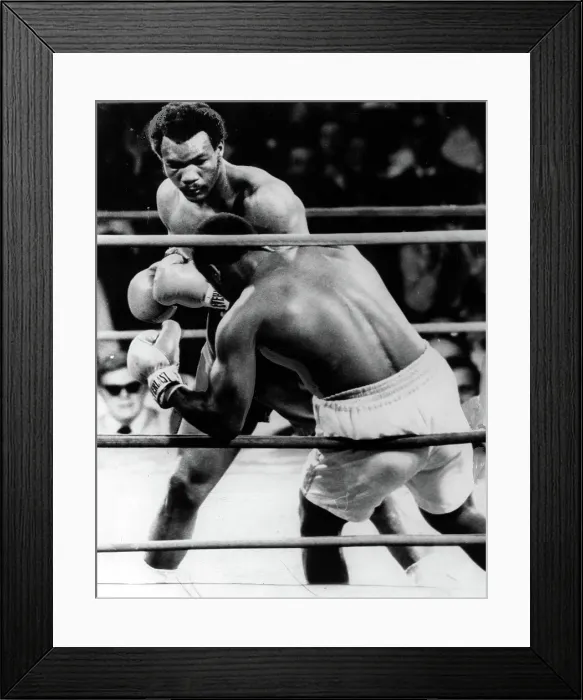 Framed Print : GEORGE FOREMAN- The boxer knocking Joe Frazier down in the second round. Kingston, Jamaica, 1 / 22 / 73 Framed Print : GEORGE FOREMAN- The boxer knocking Joe Frazier down in the second round. Kingston, Jamaica, 1 / 22 / 73