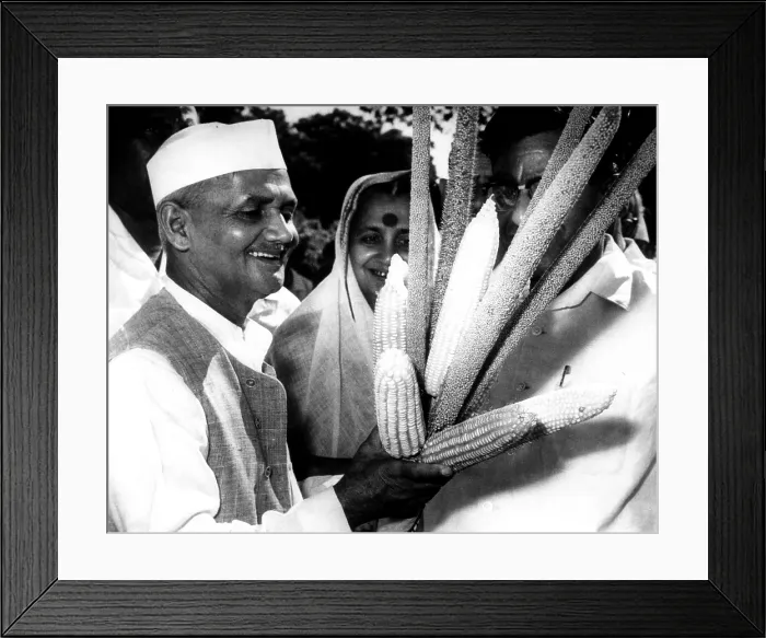 Framed Print : Indian Prime Minister Lal Bahadur Shastri, Food Minister C. Subramaniam, 1965. Courtesy: CSU Archives  /  Everett Collection