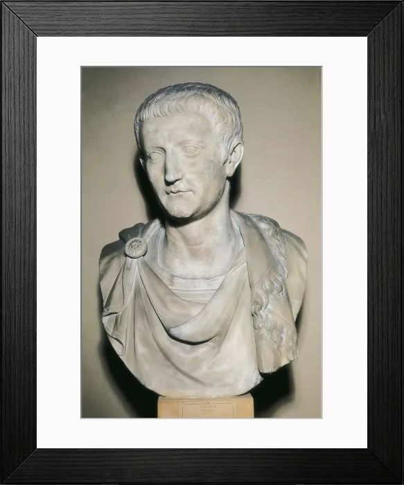 Framed Print : Bust of Tiberius. 1st c. Roman art. Sculpture on marble. ITALY. Venice. Archaeological Museum. AISA / Everett Collection**US SALES ONLY**