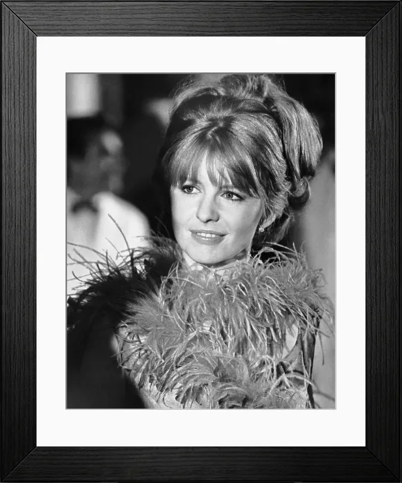 Framed Print : THE BUTTERCUP CHAIN, Jane Asher, 1970 Framed Print : THE BUTTERCUP CHAIN, Jane Asher, 1970