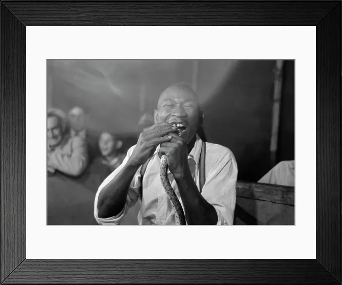 Framed Print : Geek biting the head of a snake at a sideshow, Louisiana State Fair, 1938