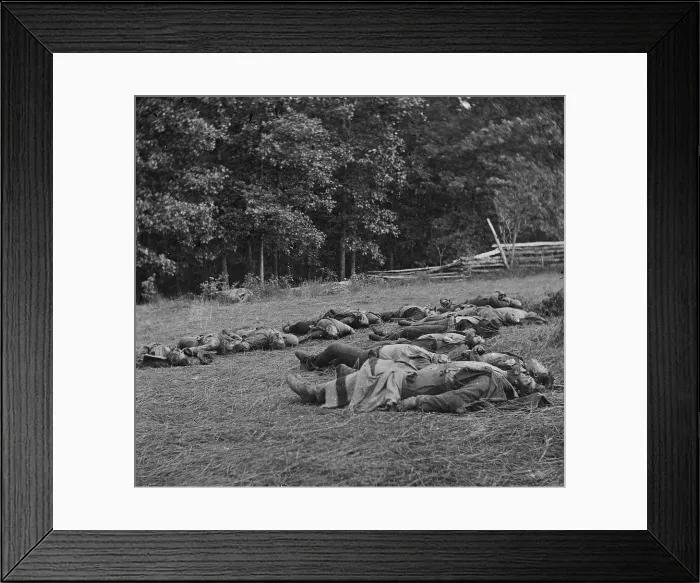 Framed Print : The Civil War. The Battle of Gettysburg. Confederate dead gathered for burial at the southwestern edge of the Rose woods, July 5, 1863 Framed Print : The Civil War. The Battle of Gettysburg. Confederate dead gathered for burial at the southwestern edge of the Rose woods, July 5, 1863