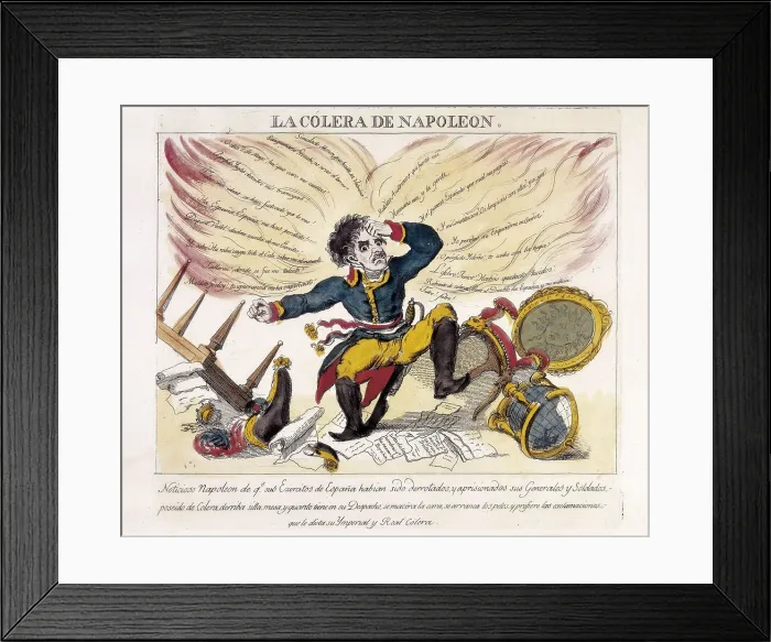 Framed Print : NAPOLEON I Bonaparte (1769-1821). French military man and politicianEmperor of France (1804-1815)