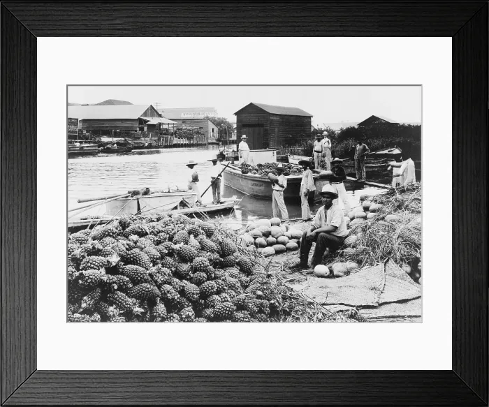 Framed Print : Mexico City, waterfront market, circa early 1900s