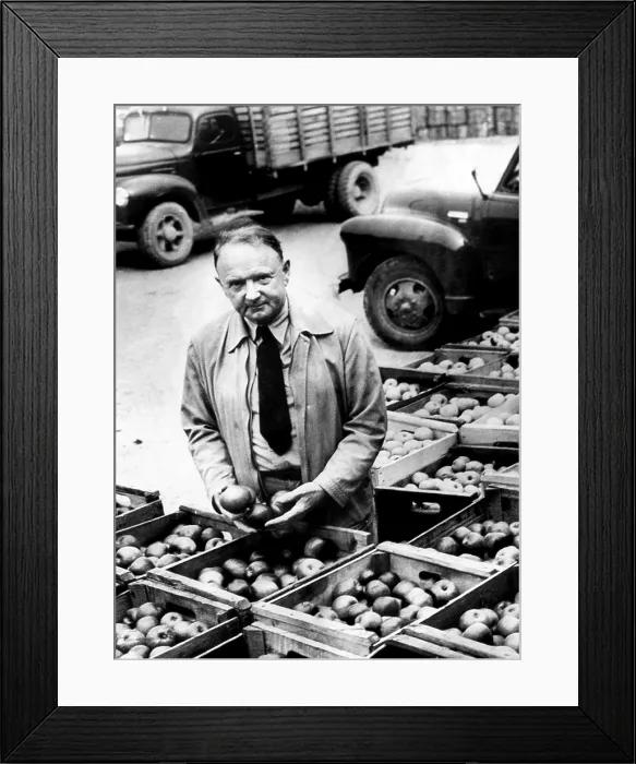 Framed Print : Harry F. Byrd at his apple canning factory in Berryville, Virginia, 1950. Courtesy: CSU Archives / Everett Collection Framed Print : Harry F. Byrd at his apple canning factory in Berryville, Virginia, 1950. Courtesy: CSU Archives / Everett Collection