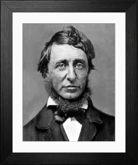 Framed Print : Henry David Thoreau. Courtesy: CSU Archives / Everett Collection Framed Print : Henry David Thoreau. Courtesy: CSU Archives / Everett Collection