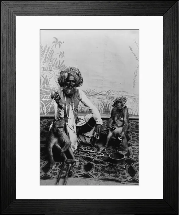 Framed Print : Portrait of an Indian Fakir with monkeys, India, photograph, circa 1900s-1920s