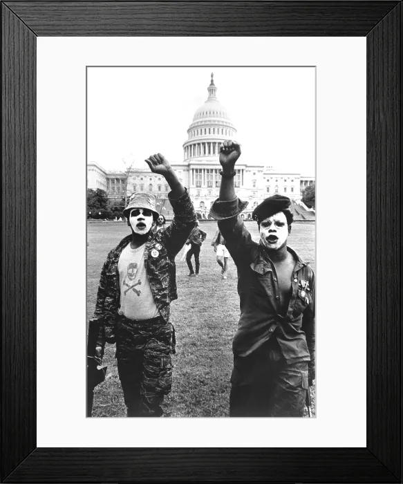 Framed Print : BLACK PANTHERS in Washington, DC, 1967. CSU Archives Framed Print : BLACK PANTHERS in Washington, DC, 1967. CSU Archives