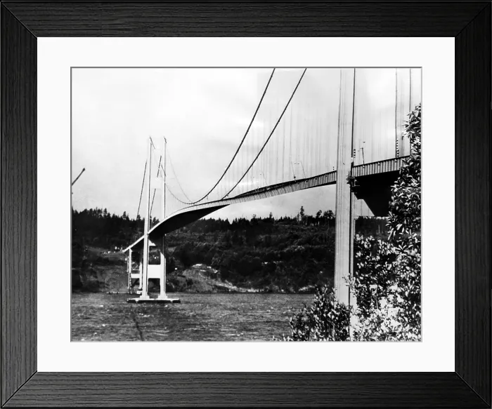 Framed Print : The narrows bridge across Puget Sound in Tacoma, Washington is twisted by a high wind. The bridge collapsed minutes later, 1940. Courtesy: CSU Archives / Everett Collection