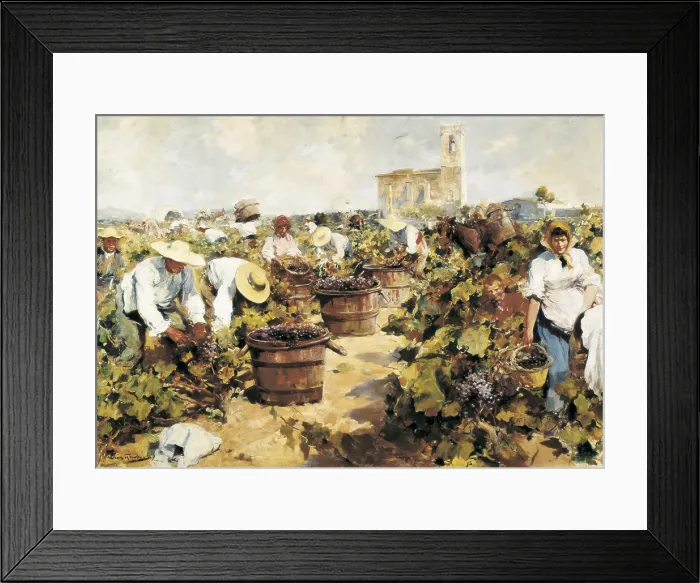 Framed Print : MAS i FONDEVILA, Arcadi (1852-1934). The Grape Harvest. beg. 20th c. Costumbrism. Oil on canvas. AISA / Everett Collection**US SALES ONLY**
