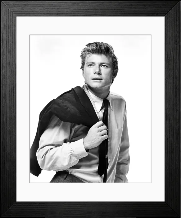 Framed Print : BUS RILEY'S BACK IN TOWN, Michael Parks, 1965