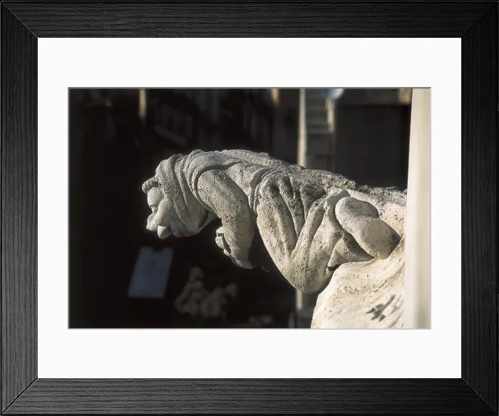 Framed Print : Lonja de la Seda o Lonja de Mercaderes (Silk or Merchant's Exchange) of Valencia. 1482-1533. SPAIN. Valencia. Llotja (Guildhall). Gargoyle. Gothic art. Sculpture on rock