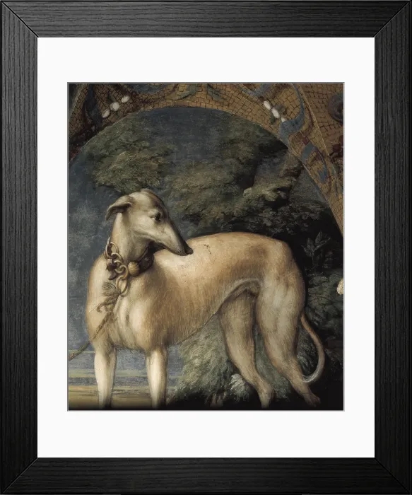 Framed Print : PARMIGIANINOFrancesco Mazzolacalled Il (1503-1540). Legend of Artemis and Actaeon. 1523. ITALY. Fontanellato. La Rocca. Detail. Greyhound. Renaissance art. Cinquecento. Fresco Framed Print : PARMIGIANINOFrancesco Mazzolacalled Il (1503-1540). Legend of Artemis and Actaeon. 1523. ITALY. Fontanellato. La Rocca. Detail. Greyhound. Renaissance art. Cinquecento. Fresco