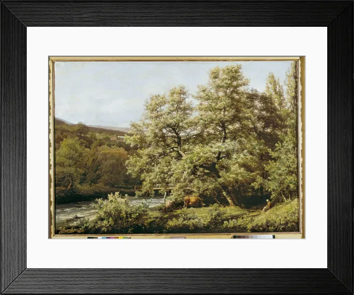 Framed Print : RIANCHOAgustn (1841-1929). The Cagigona. 1905. Oil on canvas. SPAIN. Santander. Fine Arts Museum. AISA / Everett Collection (70381)**US SALES ONLY** Framed Print : RIANCHOAgustn (1841-1929). The Cagigona. 1905. Oil on canvas. SPAIN. Santander. Fine Arts Museum. AISA / Everett Collection (70381)**US SALES ONLY**