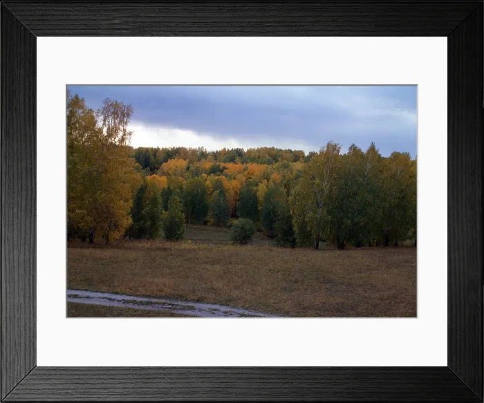 Framed Print : Siberian Fall landscape, Akademgorodok, Russia, by William Craft Brumfield, 1999