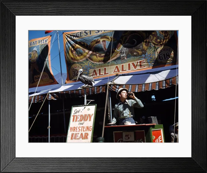 Framed Print : Carnival Barker, at the Vermont state fair, by Jack Delano, Rutland, Vermont September 1941 Framed Print : Carnival Barker, at the Vermont state fair, by Jack Delano, Rutland, Vermont September 1941