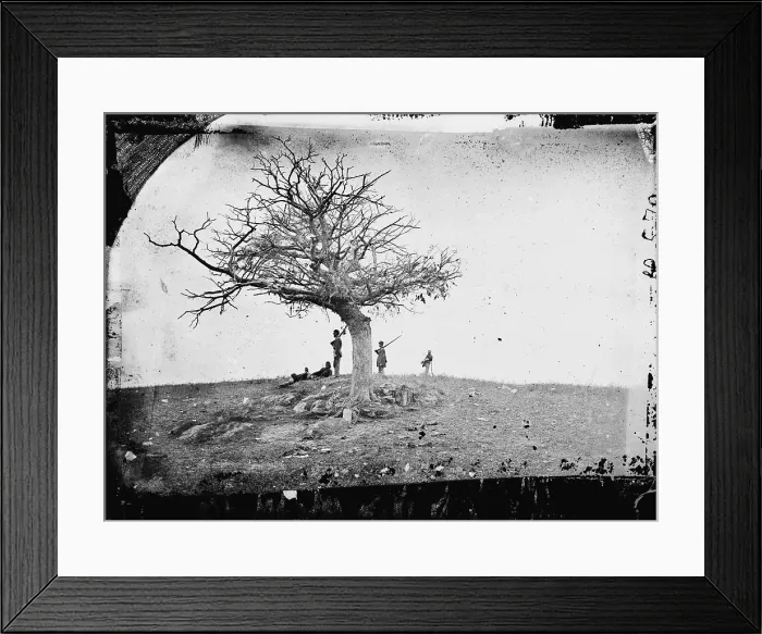 Framed Print : The Civil War, the battle of Antietam. A lone grave. Antietam, Maryland, By Alexander Gardner, September, 1862