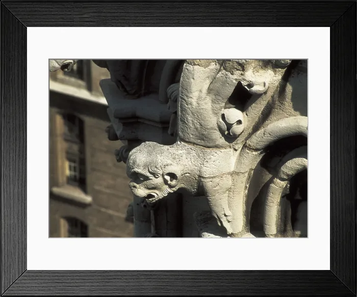 Framed Print : Notre Dame Cathedral of Paris. 1163-1345. FRANCE. Paris. Cathedral of Notre-Dame. Gargoyle. Gothic art. Sculpture on rock. AISA / Everett Collection (78021)**US SALES ONLY**