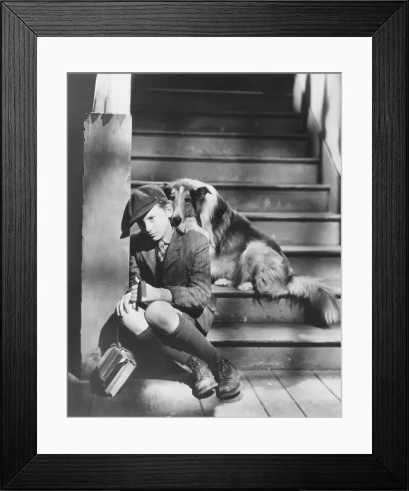 Framed Print : LASSIE COME HOME, from left: Roddy McDowall, Lassie, 1943 Framed Print : LASSIE COME HOME, from left: Roddy McDowall, Lassie, 1943