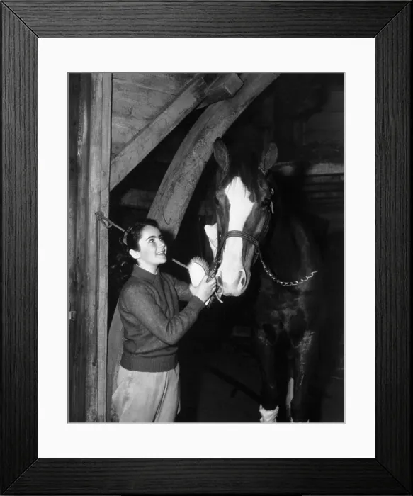Framed Print : NATIONAL VELVET, Elizabeth Taylor, 1944