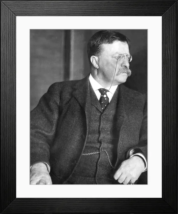 Framed Print : Theodore Roosevelt in his private office at the editorial offices of Outlook on 2-23-12. Courtesy: CSU Archives / Everett Collection Framed Print : Theodore Roosevelt in his private office at the editorial offices of Outlook on 2-23-12. Courtesy: CSU Archives / Everett Collection