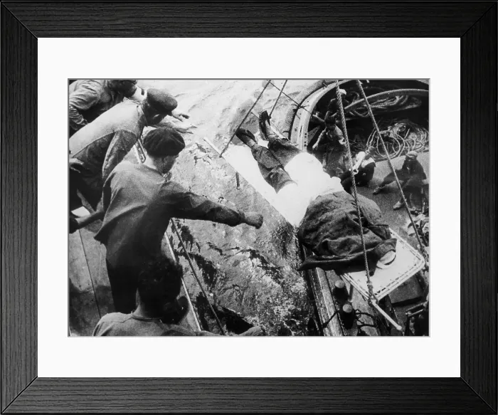 Framed Print : Spanish Civil War (1936-1939). Disembark of wounded men in Majorca. AISA / Everett Collection (95534)**US SALES ONLY** Framed Print : Spanish Civil War (1936-1939). Disembark of wounded men in Majorca. AISA / Everett Collection (95534)**US SALES ONLY**