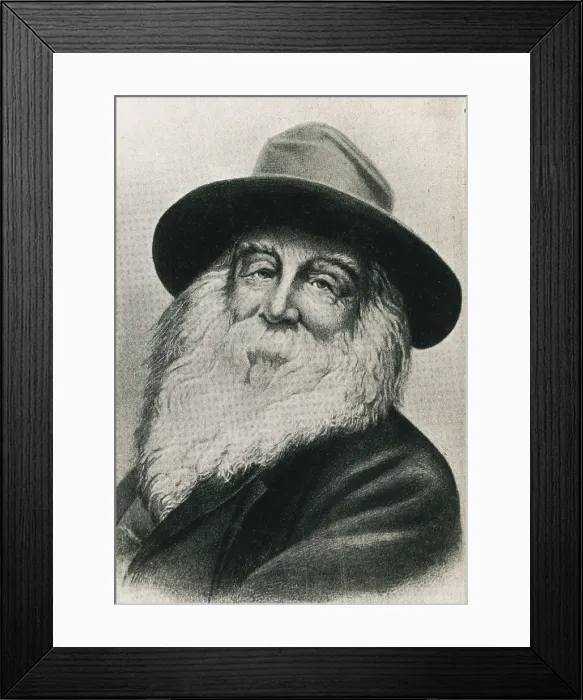 Framed Print : WHITMAN, Walt (1819-1892). Portrait of Walt Whitman included in an edition of his complete works 'Complete Writings', published in New York in 1902 Framed Print : WHITMAN, Walt (1819-1892). Portrait of Walt Whitman included in an edition of his complete works 'Complete Writings', published in New York in 1902