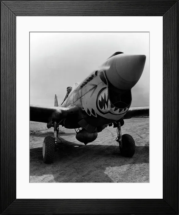 Framed Print : One of the redoutable 'Flying Tigers' ready to take off from an Alaskan point in a Curtis P-40 'Warhawk' fighter plane. ca. 1940-1946