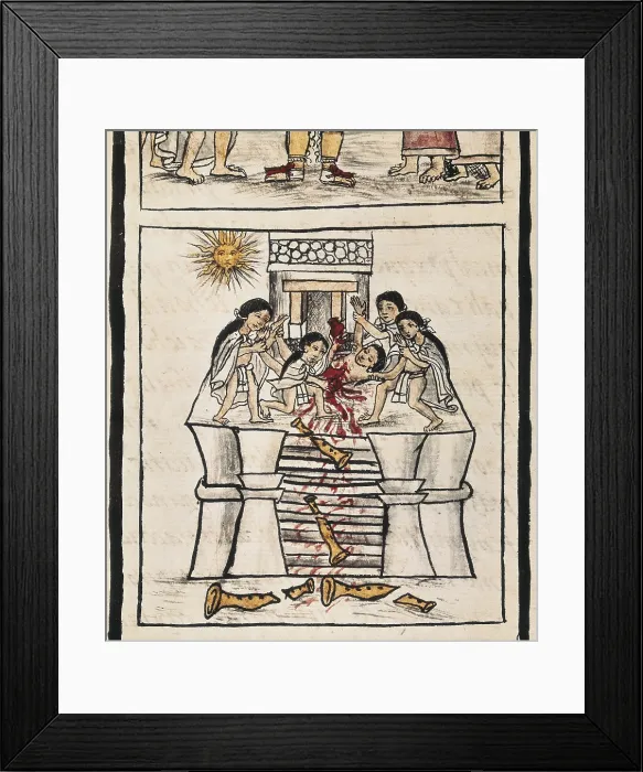 Framed Print : Azteca Empire. Sacrifice to the good Tezcatilipoca. Picture of the fol. 84v 'Libro de las Ceremonias' (Book of Ceremonies, mss. 218). Aztec art. Miniature Painting