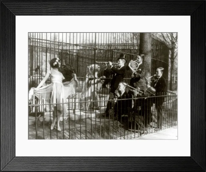 Framed Print : Jazz for the bears, five men playing musical instruments and a woman dancing in front of bears in cage at the National Zoo, Washington D.C, May, 1920-1932 Framed Print : Jazz for the bears, five men playing musical instruments and a woman dancing in front of bears in cage at the National Zoo, Washington D.C, May, 1920-1932