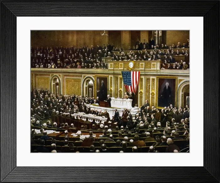 Framed Print : For the freedom of the world, President Woodrow Wilson, asking Congress to declare war on Germany, April 2, 1917, created 1918