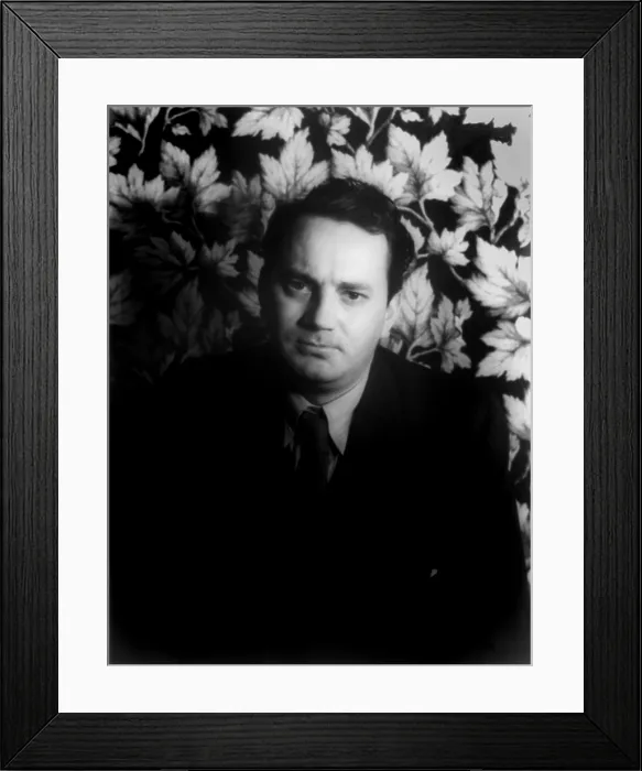 Framed Print : Thomas Wolfe (1900-1938), American writer, photograph by Carl Van Vechten, April 14, 1933 Framed Print : Thomas Wolfe (1900-1938), American writer, photograph by Carl Van Vechten, April 14, 1933