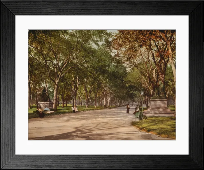 Framed Print : Central Park, New York City, photochrom, 1901