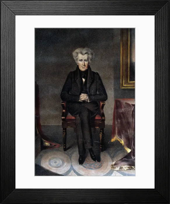 Framed Print : Andrew Jackson, President of the United States / from the original painting by W.J. Hubard ; drawn on stone by A. Newsam. 1830 Framed Print : Andrew Jackson, President of the United States / from the original painting by W.J. Hubard ; drawn on stone by A. Newsam. 1830