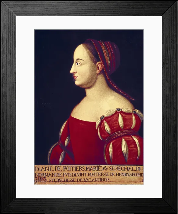 Framed Print : Diane de Poitiers, Duchesse de Valentinois (1499-1566). French lady, favourite of King Henri II. Renaissance art. Painting. FRANCE. Versailles. National Museum of Versailles Framed Print : Diane de Poitiers, Duchesse de Valentinois (1499-1566). French lady, favourite of King Henri II. Renaissance art. Painting. FRANCE. Versailles. National Museum of Versailles