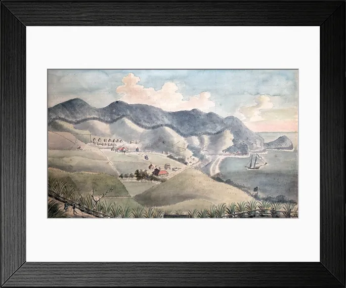 Framed Print : 1776 map of Dominica, in the Caribbean Sea, showing the estates of English colonists