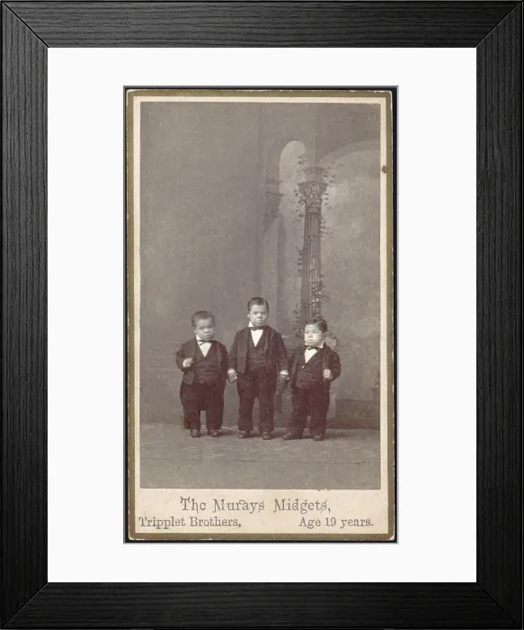 Framed Print : The Murays Midgets, triplets, 19 years old, photograph by Charles B. Eisenmann, circa 1880