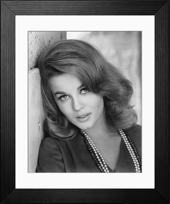 Framed Print : KITTEN WITH A WHIP, Ann-Margret, 1964