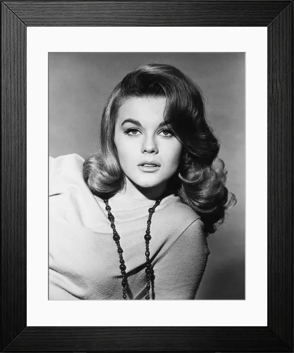Framed Print : KITTEN WITH A WHIP, Ann-Margret, 1964