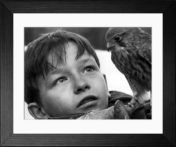 Framed Print : KES, David Bradley, 1969 Framed Print : KES, David Bradley, 1969