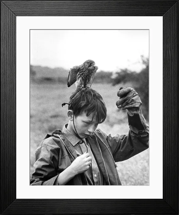 Framed Print : KES, David Bradley, 1969