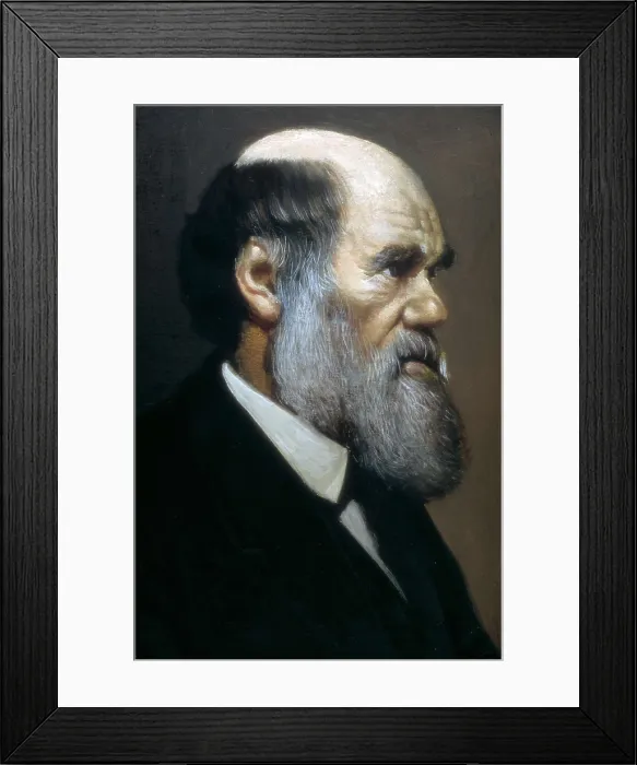 Framed Print : DARWIN, Charles Robert (1809-1882). Painting. AISA / Everett Collection**US SALES ONLY** Framed Print : DARWIN, Charles Robert (1809-1882). Painting. AISA / Everett Collection**US SALES ONLY**