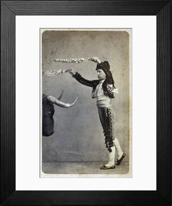 Framed Print : Bullfighting. Occupational portrait of a matador aiming banderillas at a stuffed bull's head. Carte de visite, ca. 1860-1890