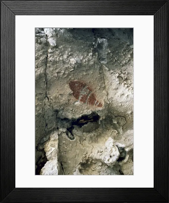 Framed Print : MEXICO. BAJA CALIFORNIA SUR. Rock Paintings of the Sierra de San Francisco. Representation of a fish (ca.1100 BC.). Neolithic art. Cave