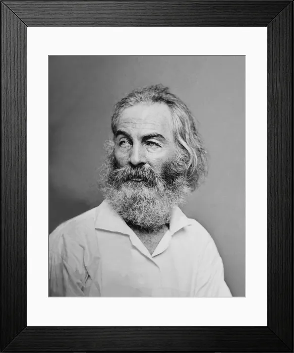 Framed Print : Walt Whitman (1819-1892) American poet, author, and journalist in portrait from Mathew Brady studio, ca. 1863 Framed Print : Walt Whitman (1819-1892) American poet, author, and journalist in portrait from Mathew Brady studio, ca. 1863