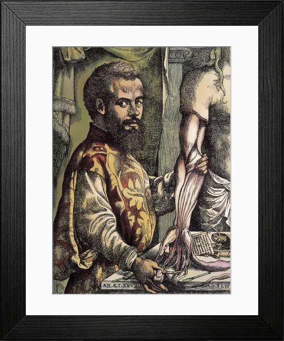 Framed Print : Vesalius, Andreas (1514-1564). De Humanis Corporis Fabrica. First edition of the work executed in Basel in 1543. Portrait of Vesalio, dated in 1542. Etching. ITALY. Florence