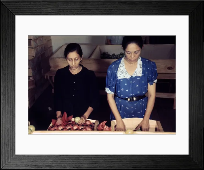 Framed Print : Puerto Rico. Women sorting and packing tomatoes at the Yauco Cooperative Tomato Growers Association, Puerto Rico. Photograph by Jack Delano, 1942