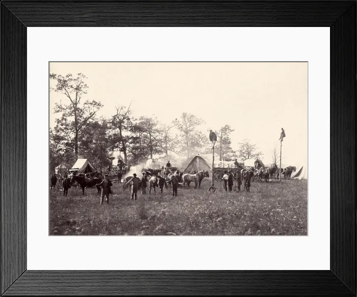 Framed Print : The Civil War. U.S. Military telegraph construction corps hanging a telegraph wire. Timothy O'Sullivan, photographer, April 1864 Framed Print : The Civil War. U.S. Military telegraph construction corps hanging a telegraph wire. Timothy O'Sullivan, photographer, April 1864
